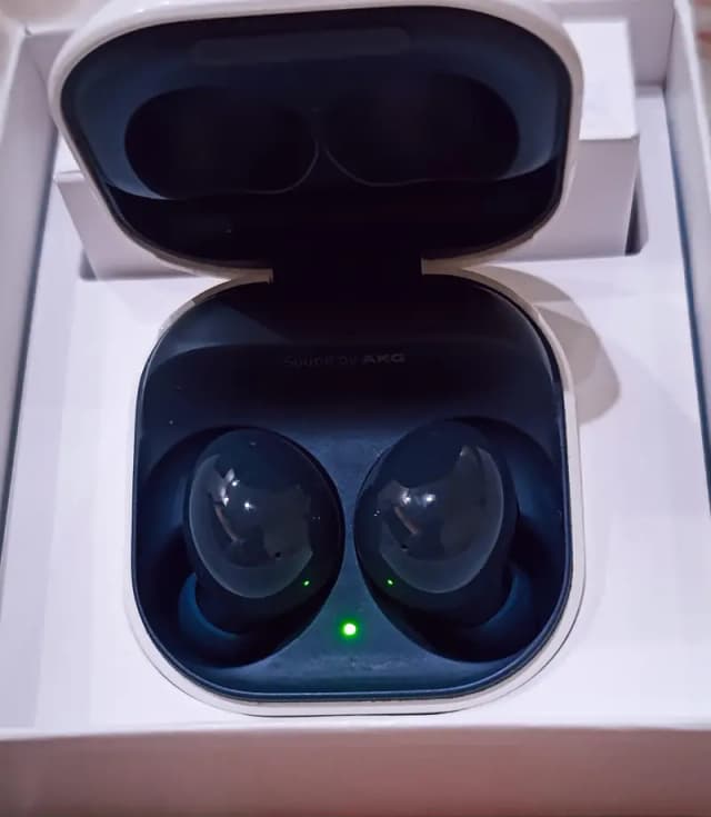 Samsung Galaxy Buds 2 (SM-R177)