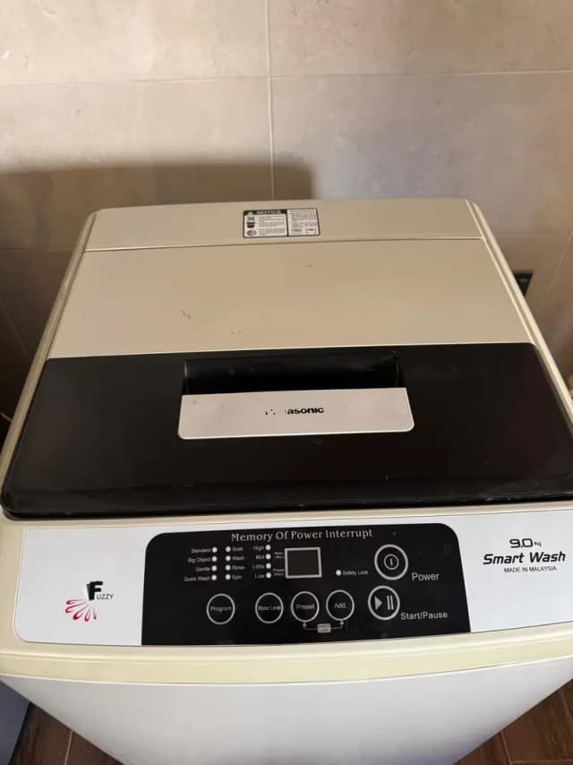 Imported Panasonic Top Load Washing Machine