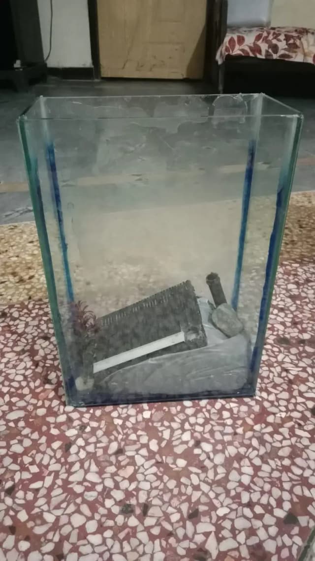fish aquarium all acesories etc