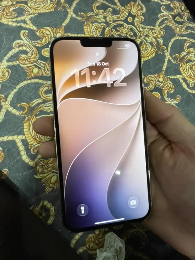 Apple iPhone 13 Pro Max