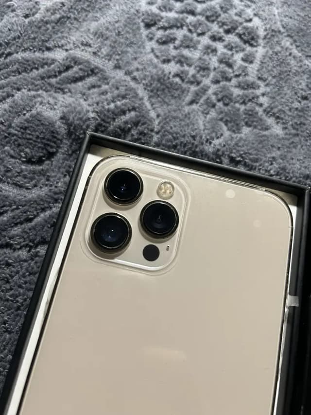 Apple iPhone 12 Pro Max