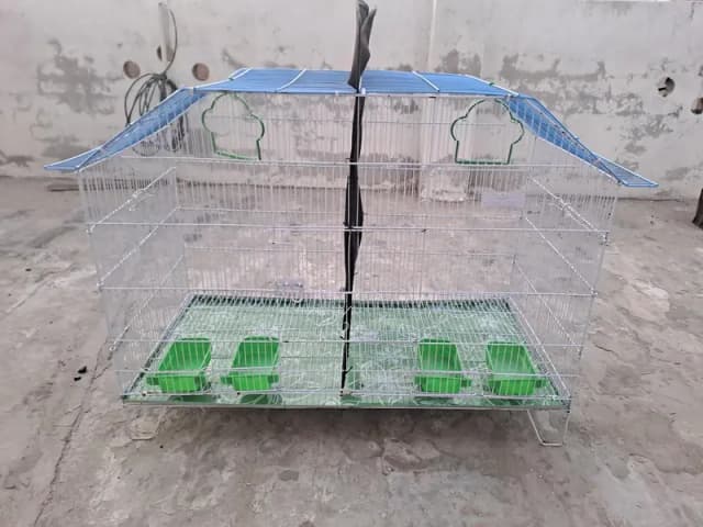 Crown Cage