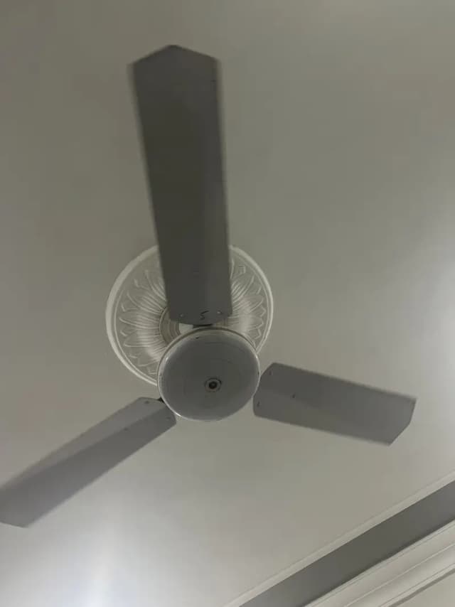 Ceiling Fan for sale