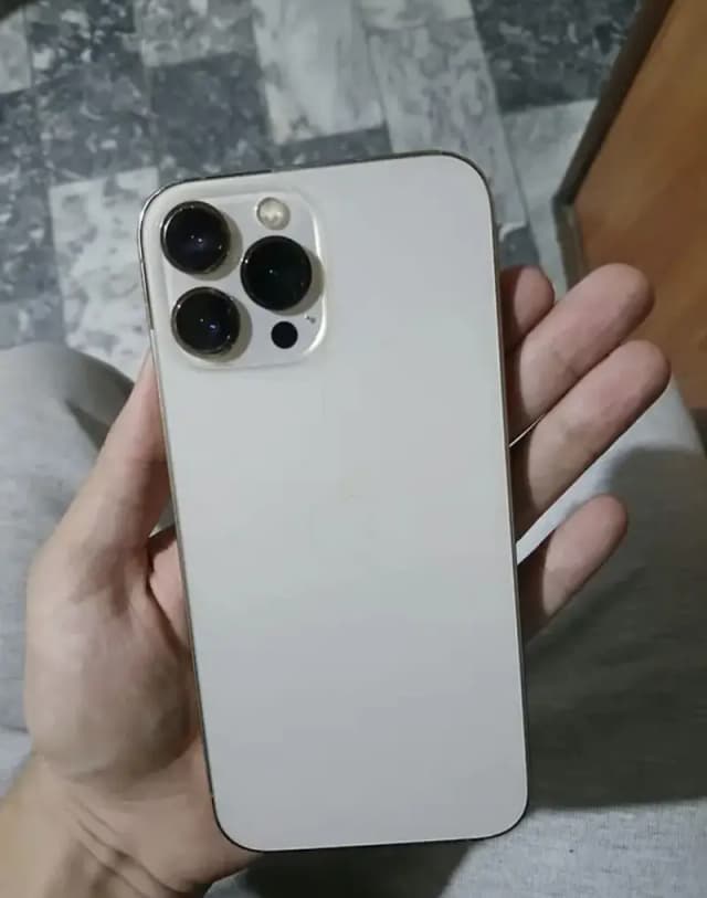 Apple iPhone 13 Pro Max