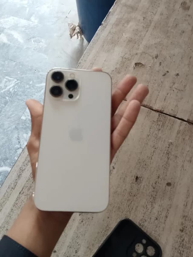 Apple iPhone 13 Pro Max
