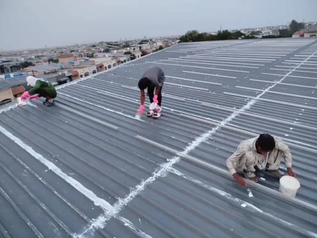 Roof Waterproofing Tank Clean Waterproofing Services Leakage proofing