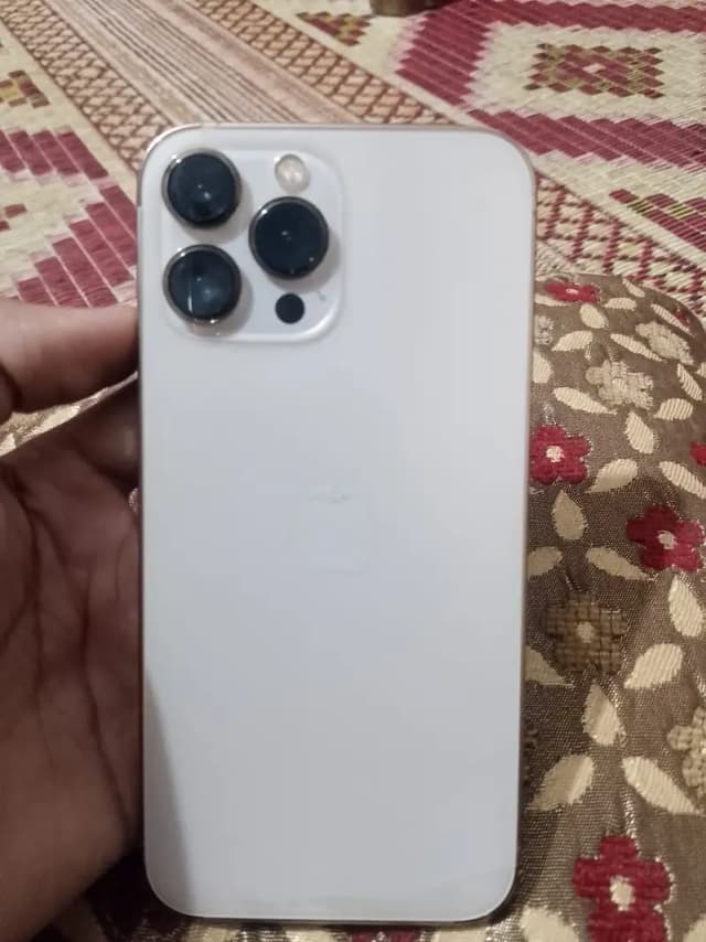 Apple iPhone 13 Pro Max