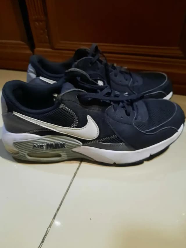 Nike Air Max