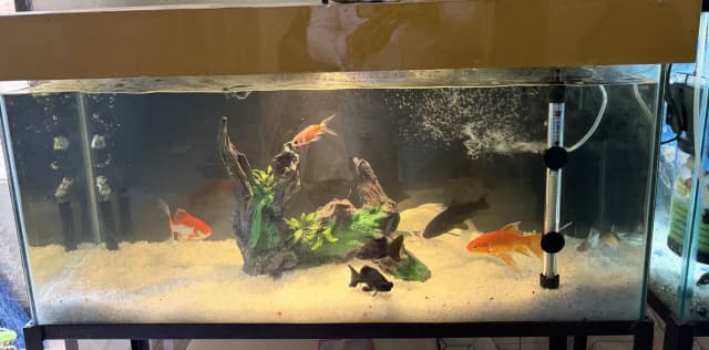 3x1.5 height Aquarium new with stand
