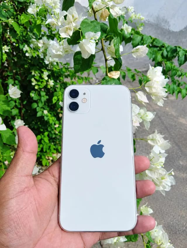 Apple iPhone 11