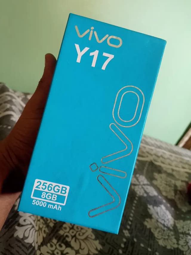Vivo Y17