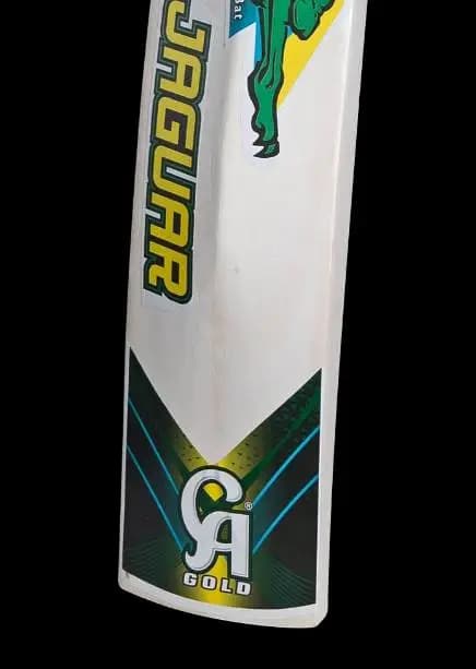 Cricket
