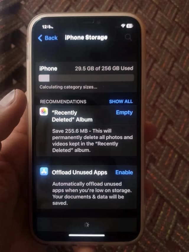 Apple iPhone X