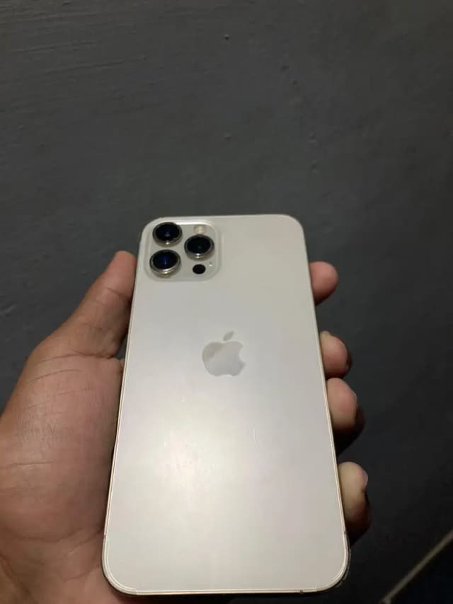 Apple iPhone 12 Pro Max