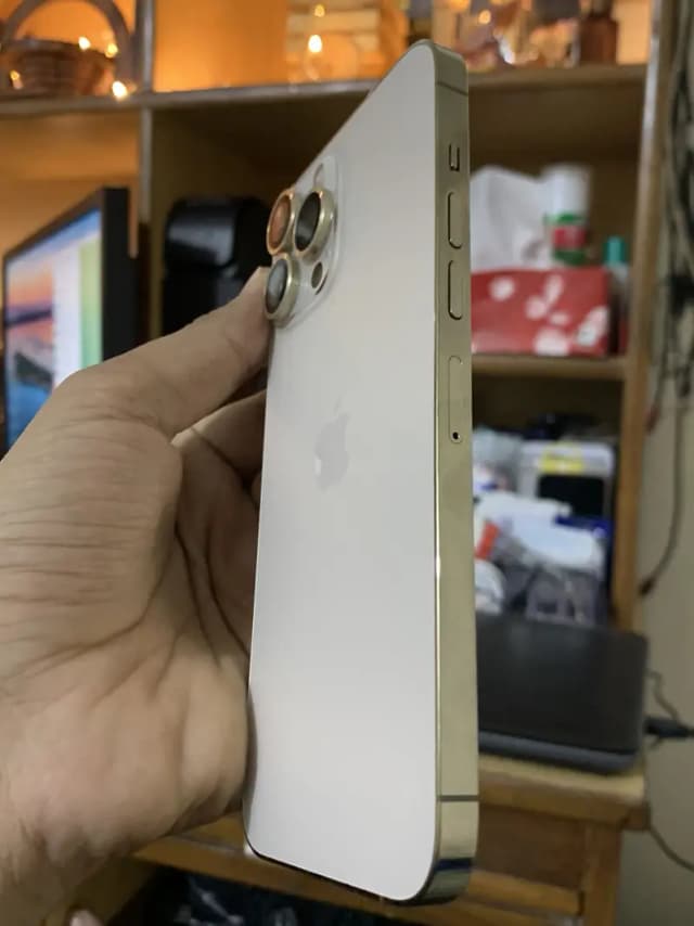 Apple iPhone 13 Pro Max