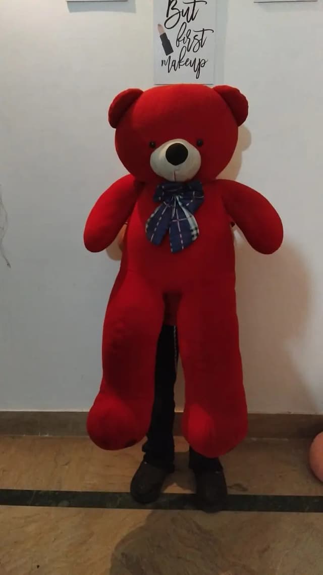 Imported 10 Teddy Bears Deal  4 Feet to 6 Inch All In One